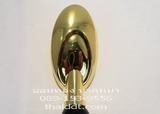 ช้อนทองนวดหน้า, Golden spoon beauty equipment,ช้อนทอง ไอออนโต,Golden Spoon Facial Treatment